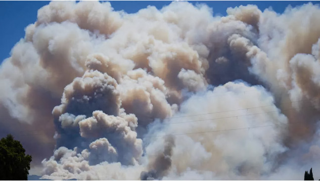 12 killed by forest fire in Spain amid extreme heatwave