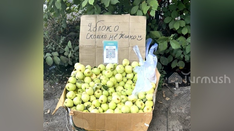 Honesty experiment: box of apples and a QR code surprise Kara-Balta resident