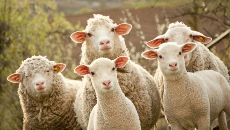 Qurban bayramı namazının vaxtı açıqlandı