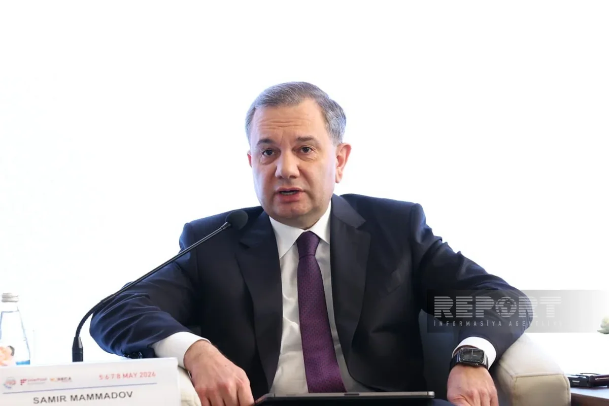 Самир Мамедов: Азербайджан намерен стать региональным хабом для ИИ и дата-центров