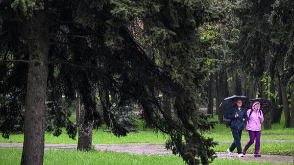 Местами дожди — погода в Кыргызстане 15 апреля