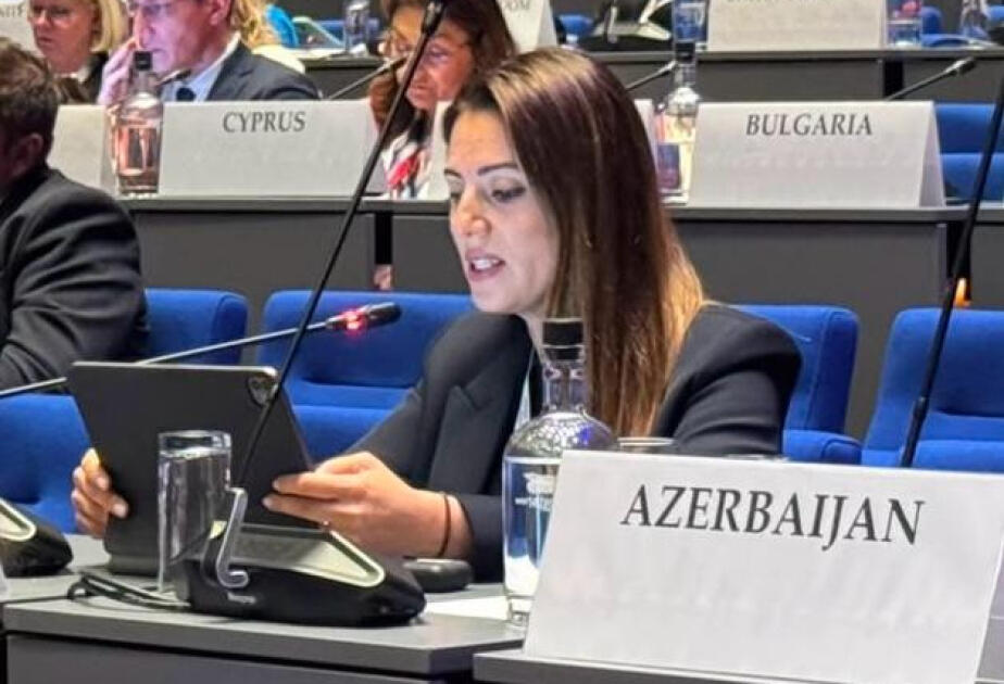 Bu gün regionumuzun davamlı sülhə nail olmaq üçün real imkanı var
