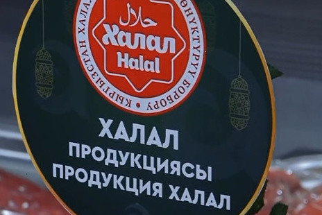 Введены штрафы за нарушения в сфере халал-индустрии. Президент подписал закон