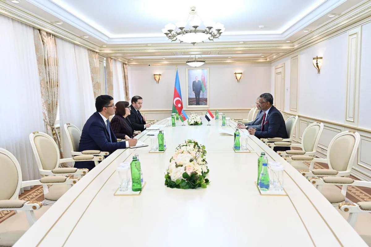 Sahibə Qafarova Sudan səfiri ilə parlamentlərarası əməkdaşlığı müzakirə etdi