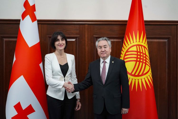 KR at UN Security Council: Georgia interested in election campaign experience