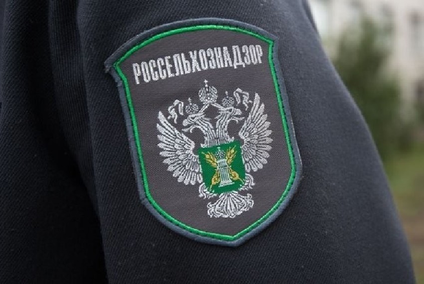 Контроль за поставками продукции из Кыргызстана усилил Россельхознадзор