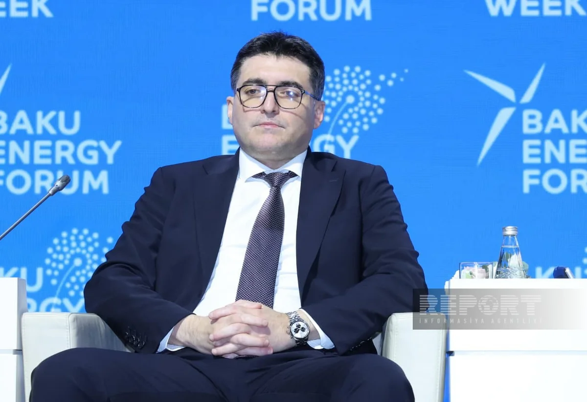 Орхан Зейналов: Мощность энергокоридора Азербайджан–Турция может вырасти до 3 ГВт