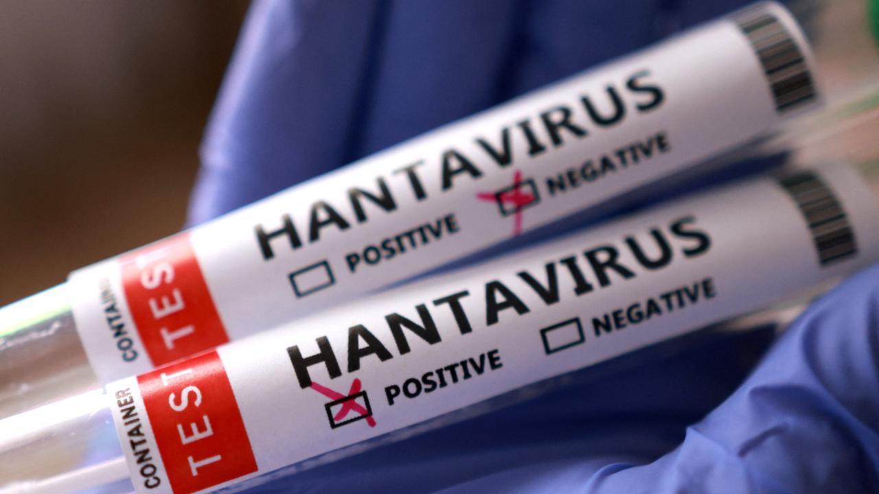 Hantavirus ürəyi vurur: Bu şəxslər daha tez yoluxa bilər