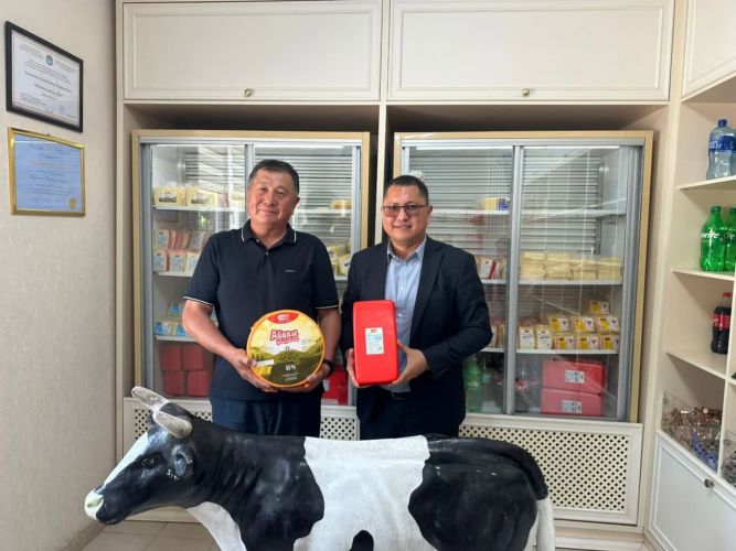 Talas dairy producers to increase raw milk purchases from farmers
