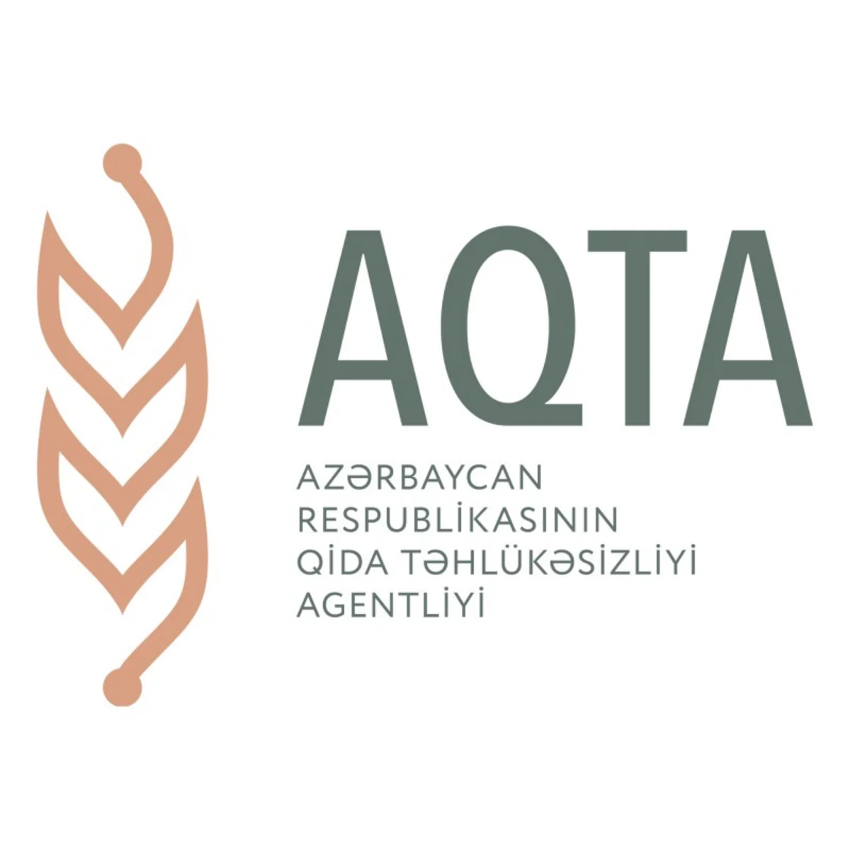 В AQTA сообщили о результатах проверки после инцидента на поминках в Гяндже