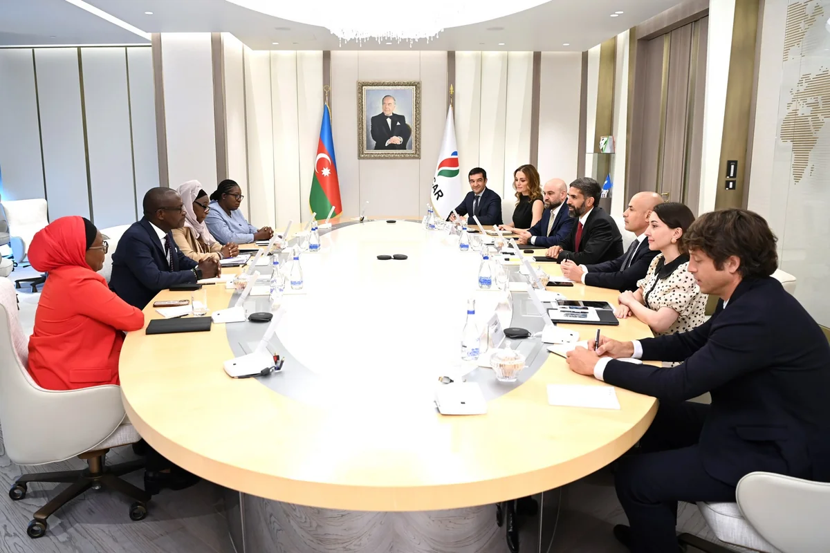 SOCAR и PETROCI рассмотрели новые направления сотрудничества и разработку месторождения Baleine