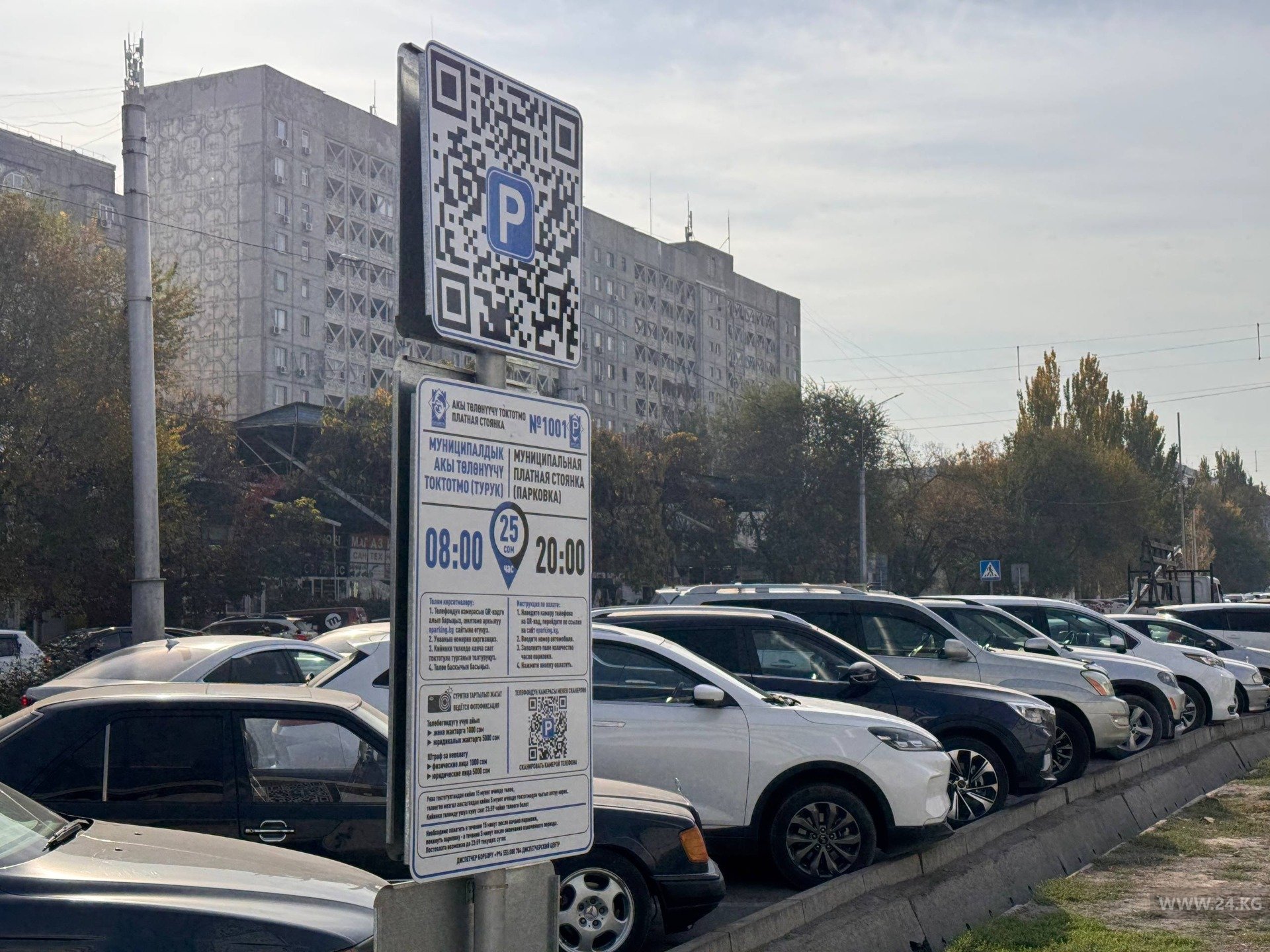 В Бишкеке оплатить парковку теперь можно через приложение «Мой город»