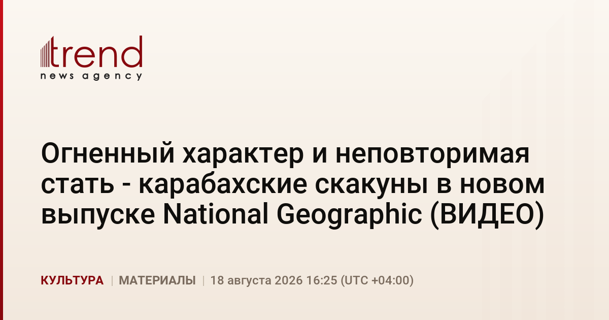 Огненный характер и неповторимая стать - карабахские скакуны в новом выпуске National Geographic (ВИДЕО)