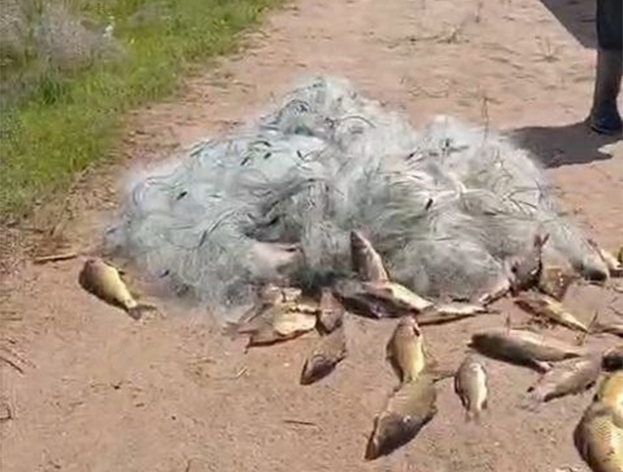 Запрещенные снасти. Незаконная рыбалка обернулась для жителя Сурхандарьи штрафом почти в 80 миллионов сумов