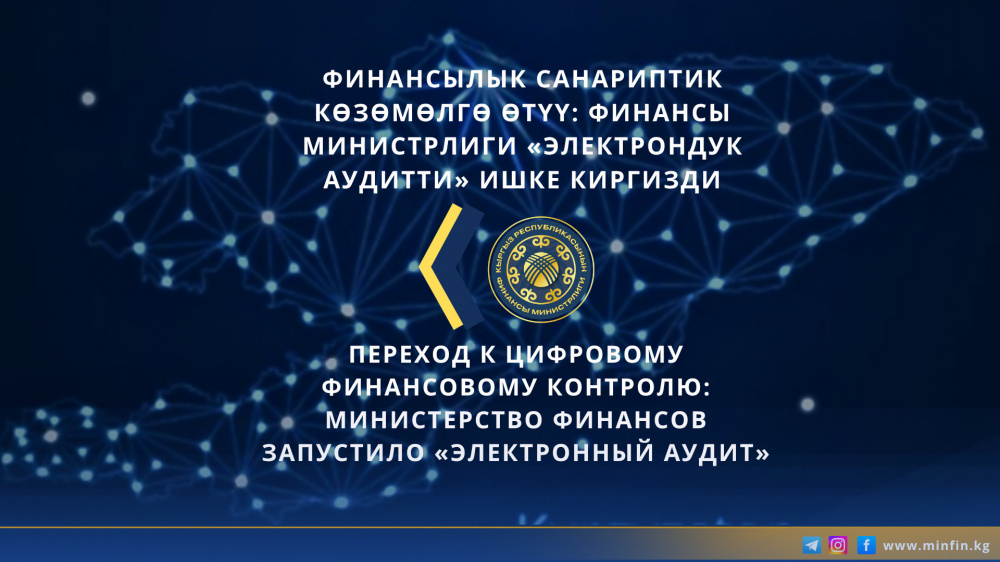 Начал работать "Электронный аудит". Что это такое и зачем нужно
