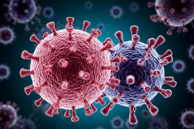 Afrikada insanları yoluxdura bilən yeni bir koronavirus kəşf edilib...