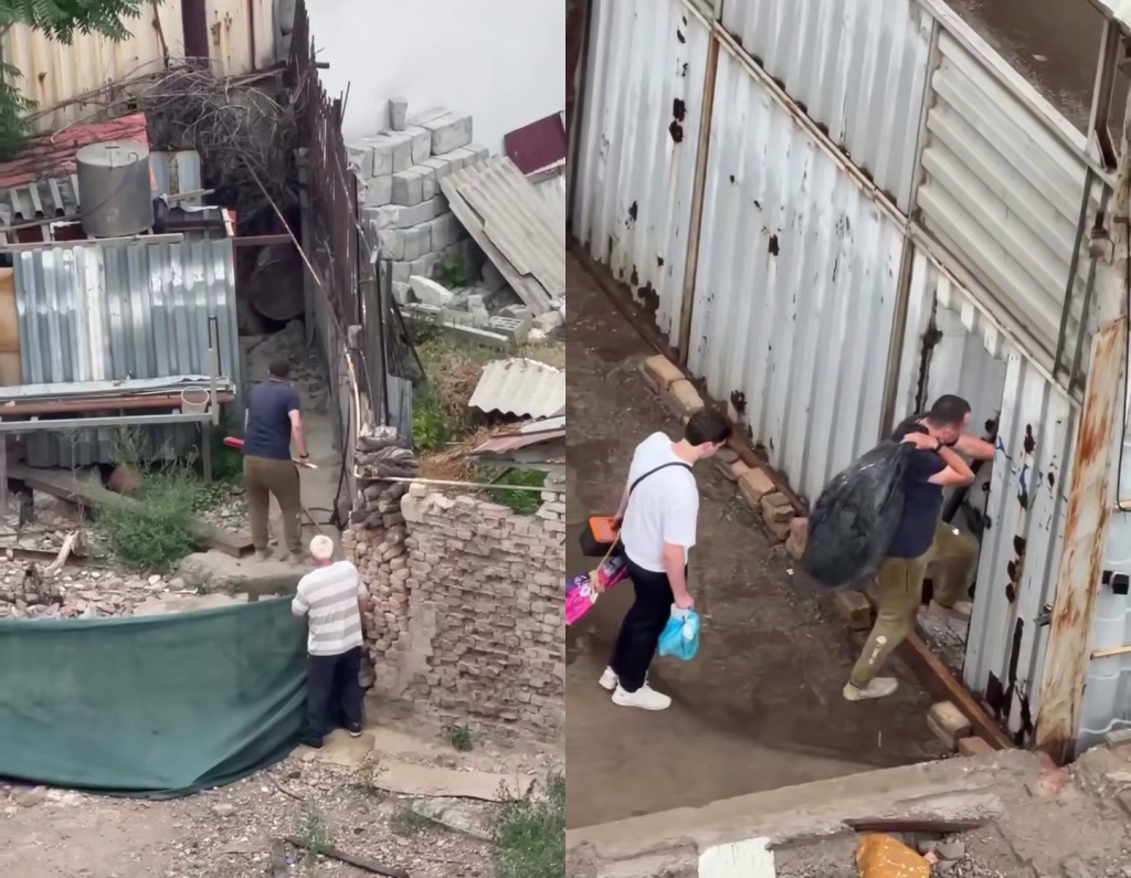 В Ташкенте неизвестные до смерти забили собак металлическими прутьями. Видео