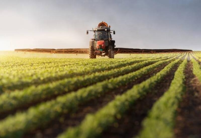 Экспорт аграрной продукции Азербайджана вырос на 26,6%