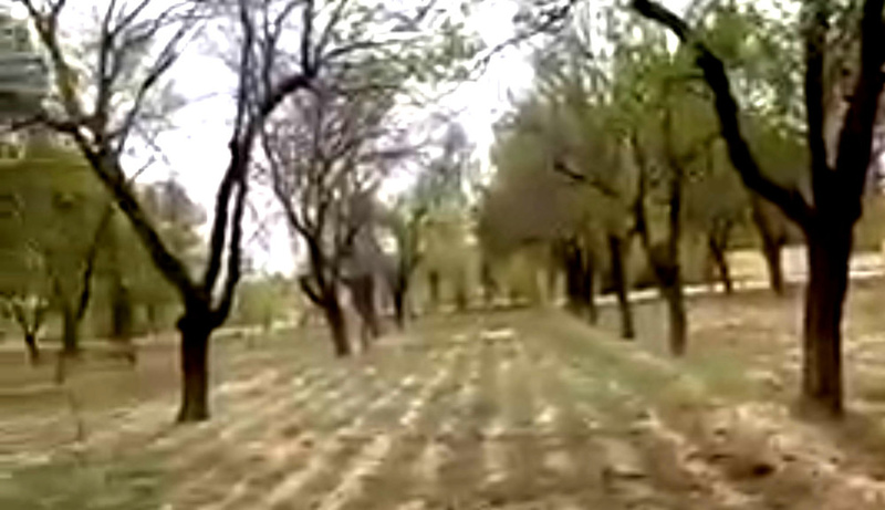 Kara-Bak residents urge faster water supply to land exchanged with Tajikistan