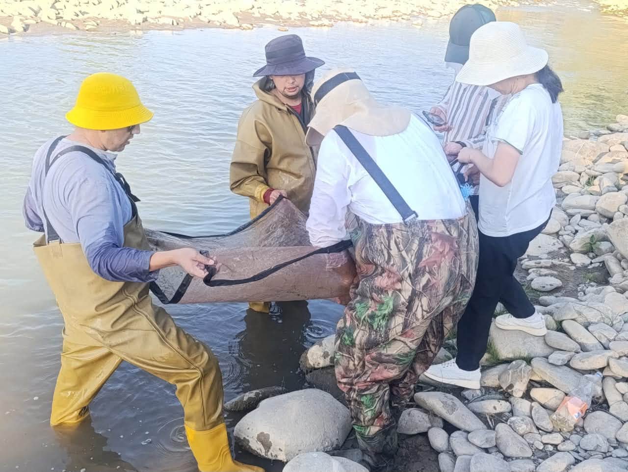 В Кемпир-Абадском водохранилище ученые выявили 14 видов рыб