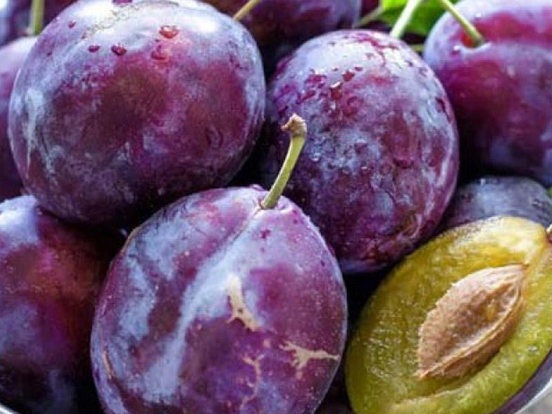 Gavalının üzərindəki ağ ləkənin səbəbi bəlli oldu