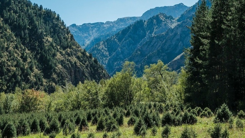Kyrgyzstan's territory expands past 200,000 sq km following border delimitation