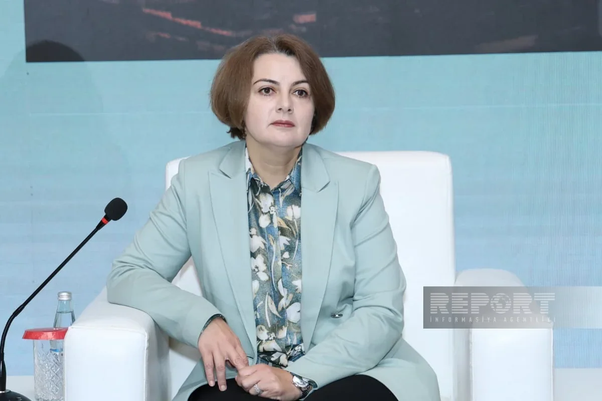 Рена Гумбатова: В Азербайджане до конца 2027г запустят еще восемь СЭС