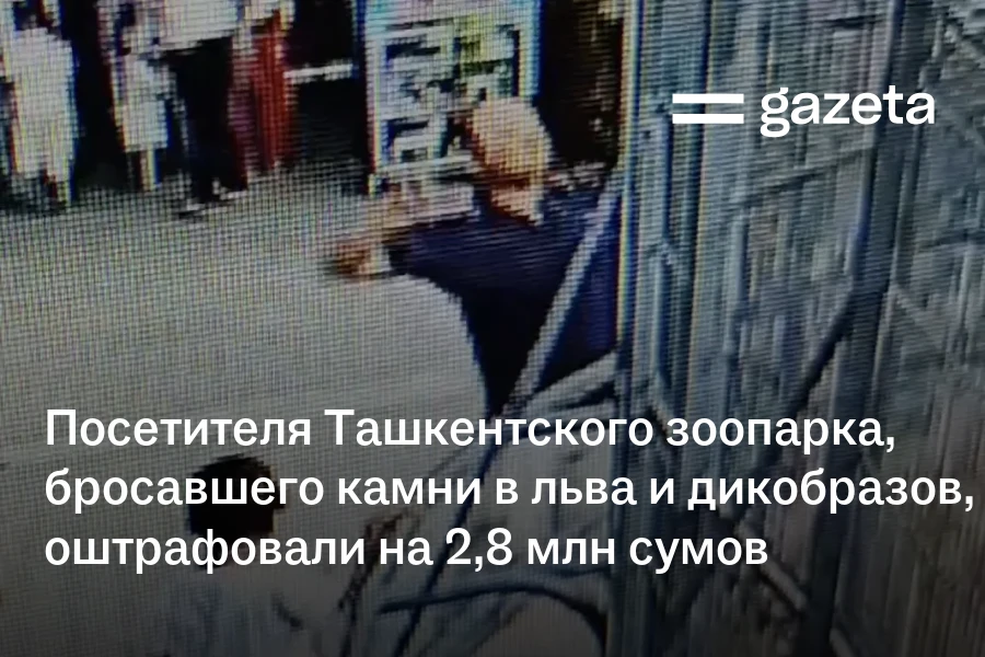 Посетителя Ташкентского зоопарка, бросавшего камни в льва и дикобразов, оштрафовали на 2,8 млн сумов