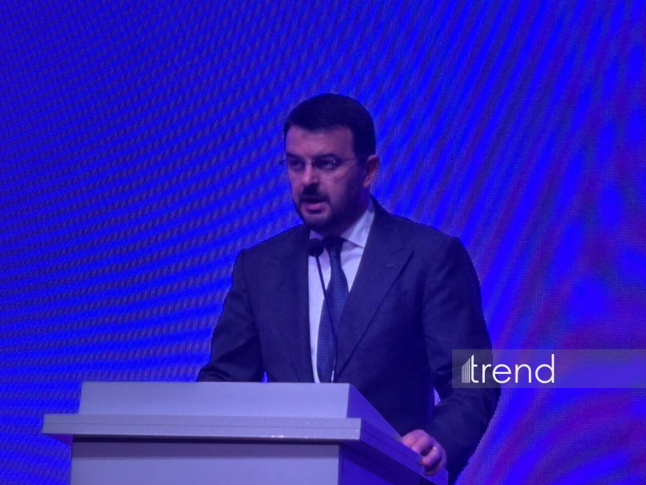 AmCham Azerbaijan о необходимости бизнесу адаптироваться к технологическим изменениям