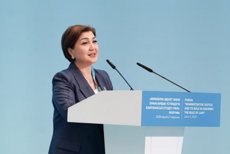 Supreme Court Deputy Chair about legal disputes involving foreign investors