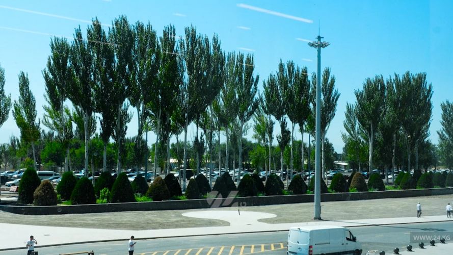 New trees to be planted at Manas Airport