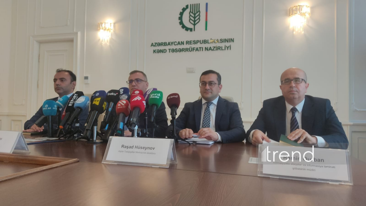 Son 10 ildə kənd təsərrüfatında 37 faizdən çox artım qeydə alınıb