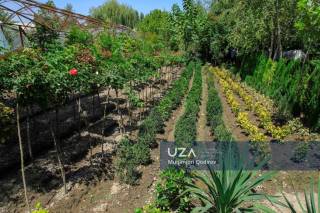 Популяризируется передовой опыт эффективного использования приусадебных участков
