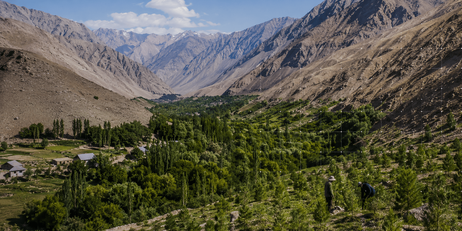Tajikistan Turns to Satellites to Discover How Much Forest It Has Left