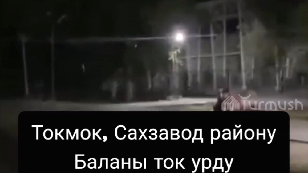 В Токмоке ребенка ударило током, когда он прикоснулся к столбу уличного фонаря