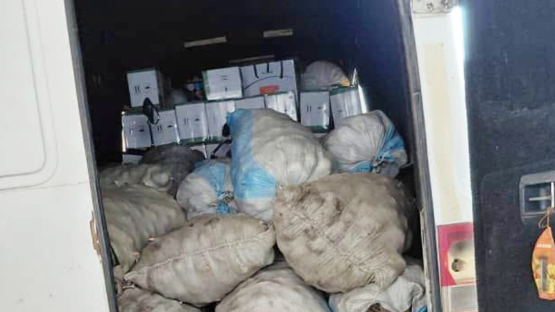 Two fined in Toktogul district for illegal harvesting of 1.4 tons of Aflatun onion