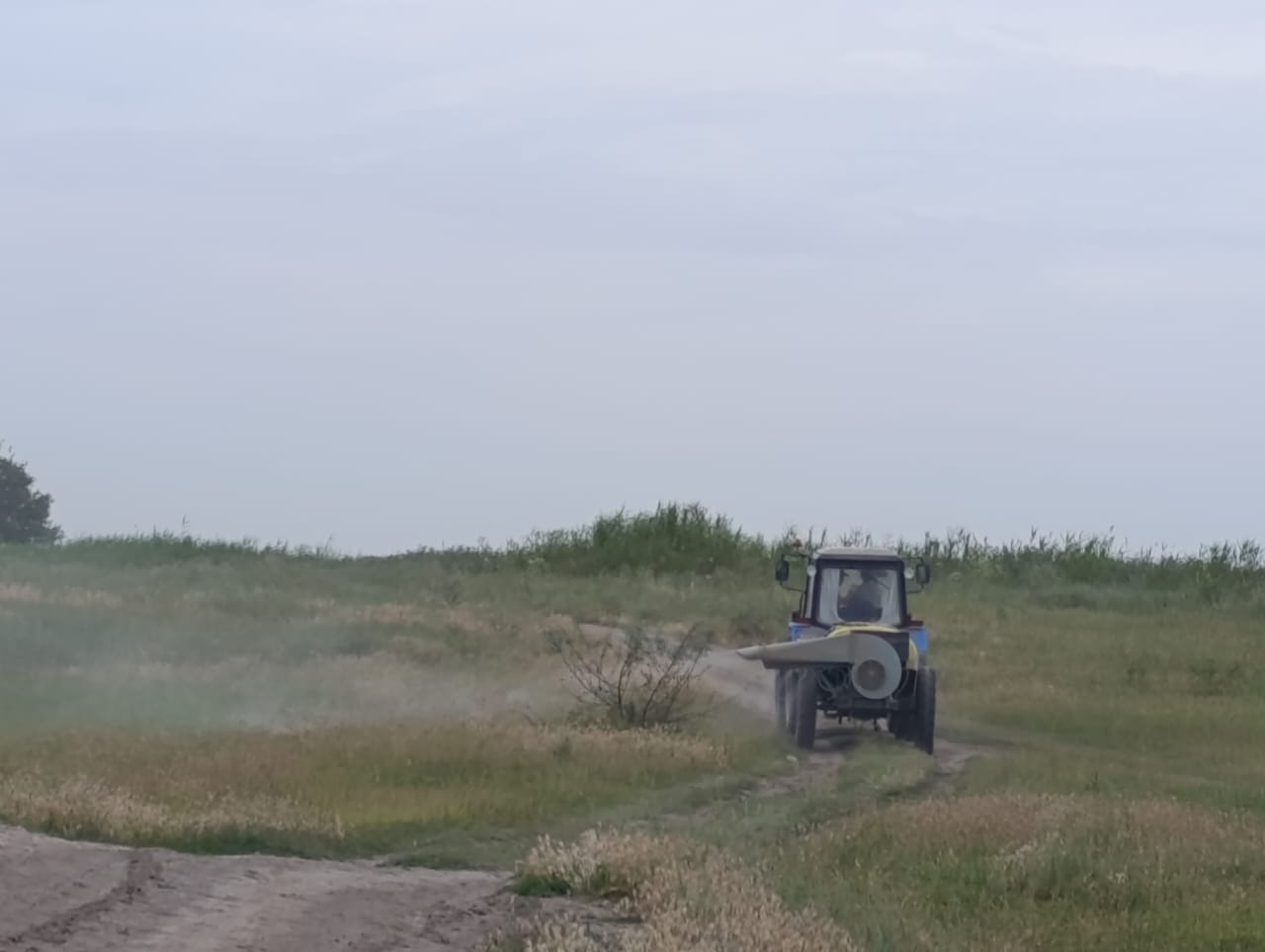 В КР проведено обследование более 87 тысяч гектаров в рамках борьбы с саранчой