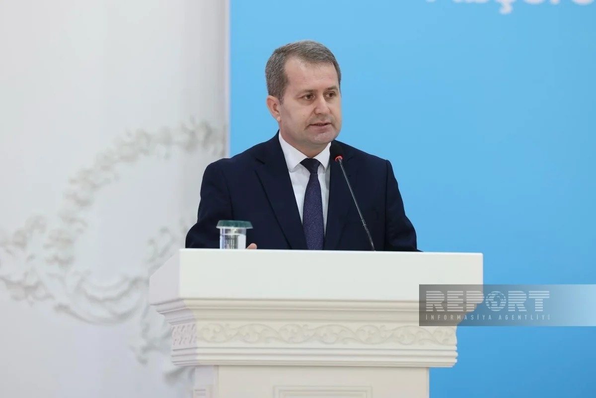 Сеймур Сафарли: Для развития овцеводства будет создано 300 новых хозяйств