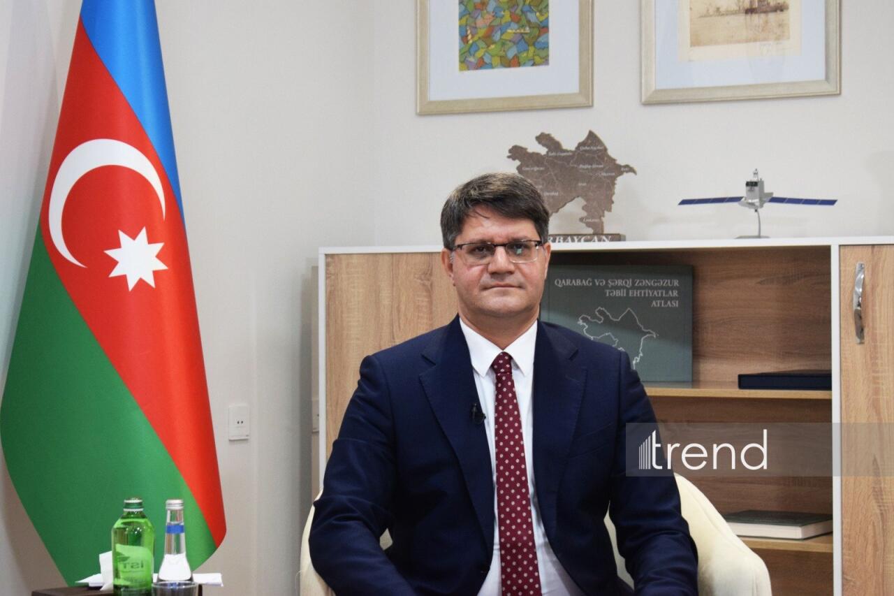 Azərbaycanda süni intellekt əsaslı meşə monitorinq sistemi tətbiq ediləcək
