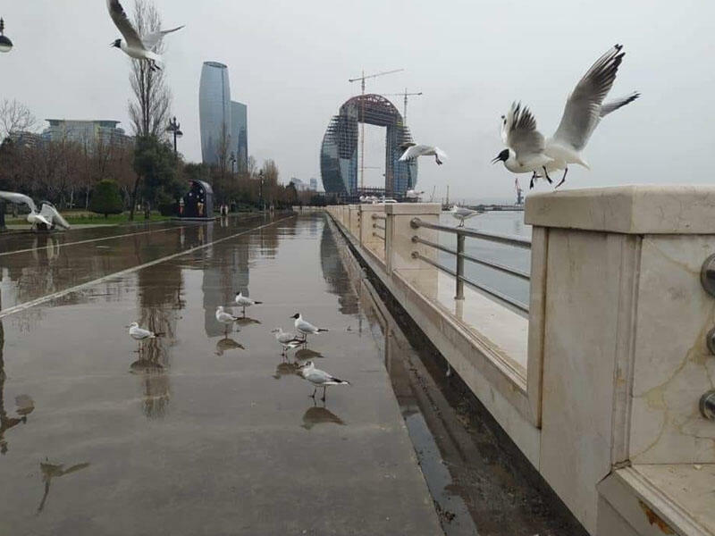 Yağış yağacaq, dolu düşəcək