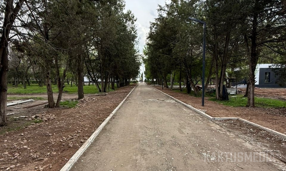 В парке Ататюрка все-таки срубили деревья, хотя обещали сохранить (видео)