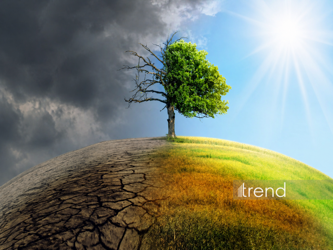 2030-cu ilə qədər Yer kürəsində rekord dərəcədə isti olacaq