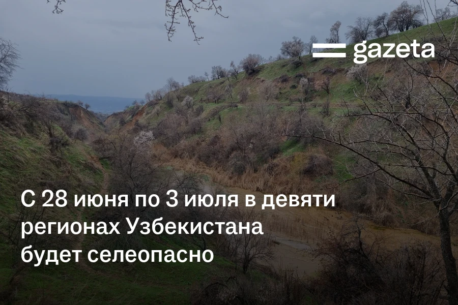 С 28 июня по 3 июля в девяти регионах Узбекистана будет селеопасно
