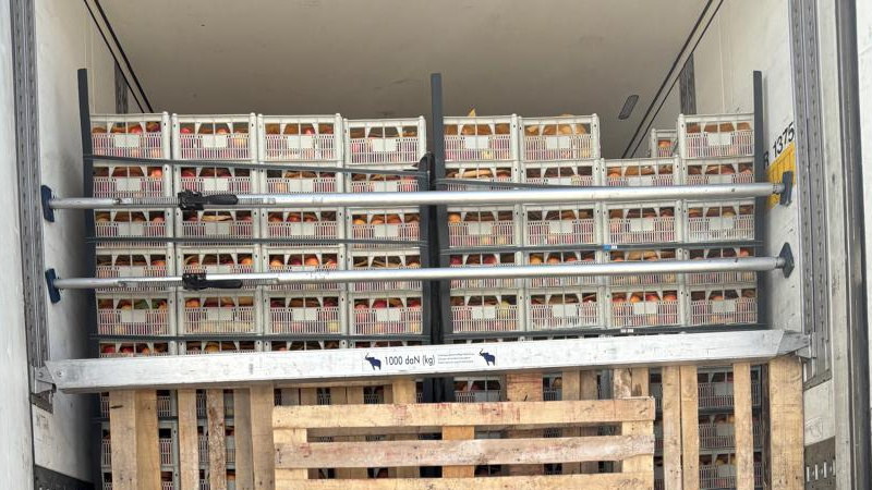 В Кыргызстан не пустили 22 тонны нектаринов из Ирана
