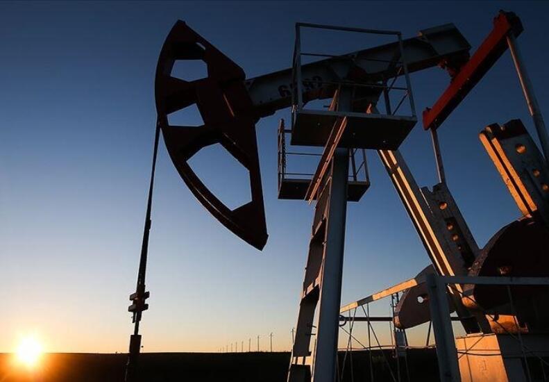 Цена азербайджанской нефти превысила 116 долларов