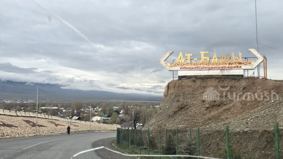 В Ат-Башинском районе за полгода число родов снизилось на 47 случаев