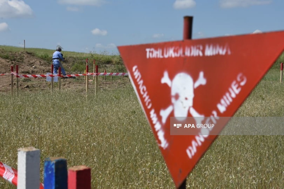Обучение детей лиц, погибших при разминировании будет оплачиваться из госбюджета