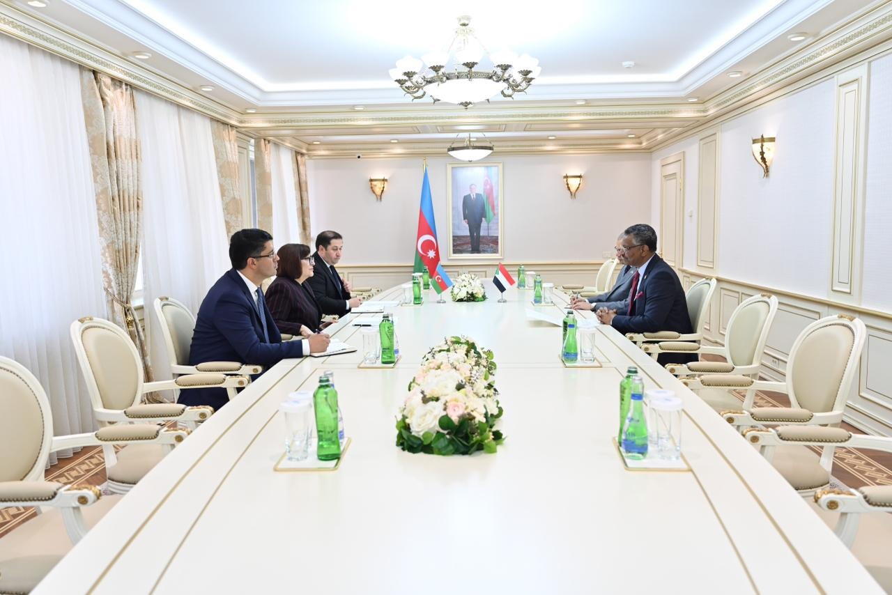 Azərbaycan və Sudan arasında parlamentlərarası əlaqələrin inkişafı müzakirə edilib