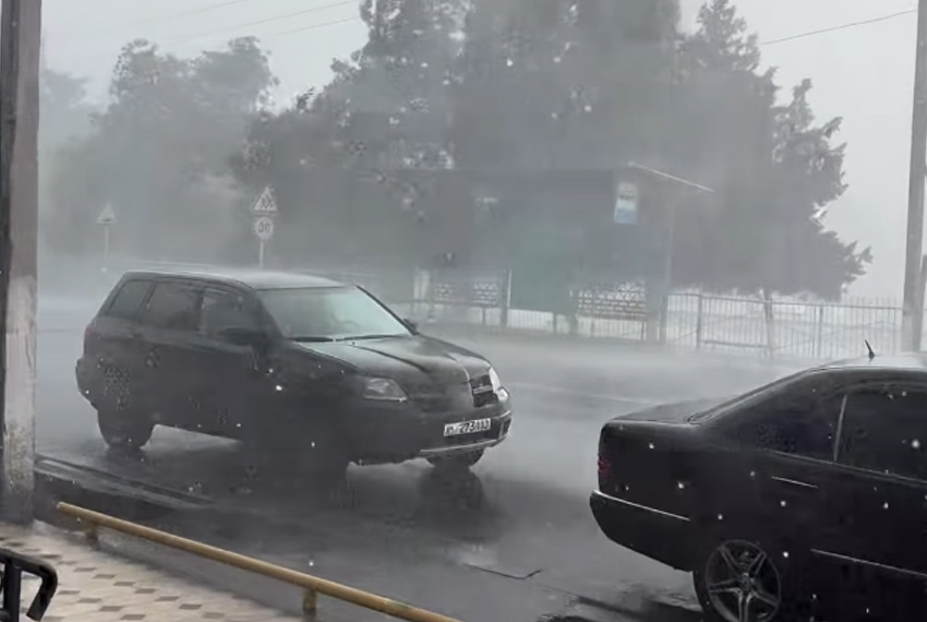 В Манасе из-за сильного ливня и ветра повреждены крыши домов и повалены деревья