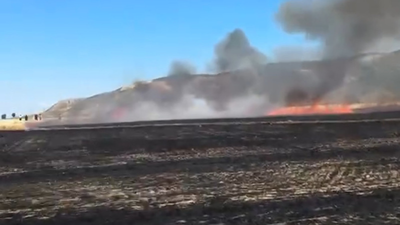 Grain field fire extinguished in Issyk-Ata district